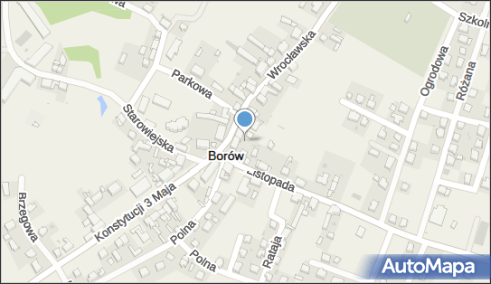 9141483100, Borowski Klub Sportowy - Borów 