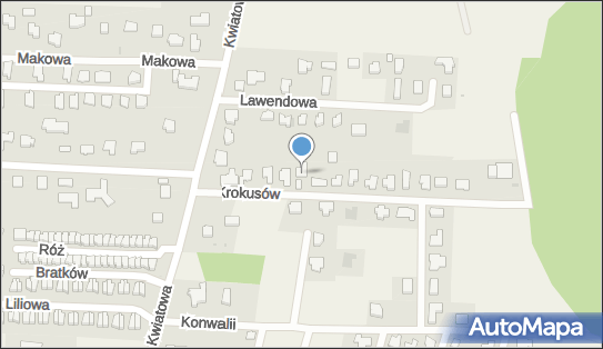 6692397381, Borys Dec Aib Automobile 