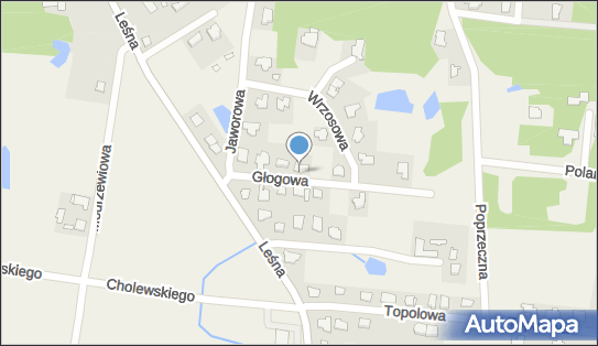 5541857826, Pawluczuk Borys IT Software Engineering 