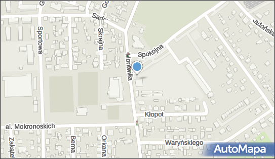 5290015891, Bożenna Olesińska Sprzedaż Wędlin 