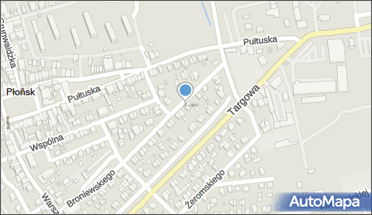 Brudzyński Jerzy, B.S.Alp - Serwis, Płońsk 09-100 - Przedsiębiorstwo, Firma, NIP: 5671224025