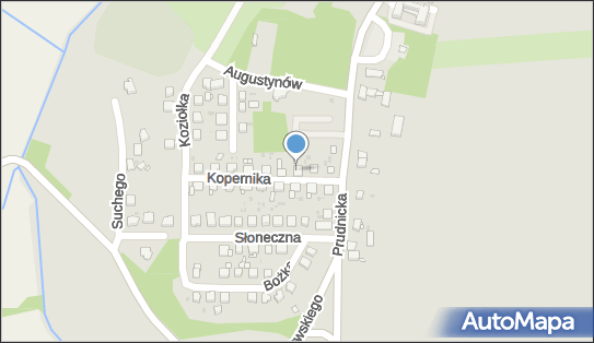Brygida Haczkiewicz - Działalność Gospodarcza, ul. Kopernika 5 48-210 - Przedsiębiorstwo, Firma, NIP: 7551022490