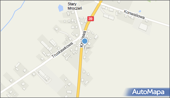 Bryza Janina, Mroczeń 100, Mroczeń 63-604 - Przedsiębiorstwo, Firma, NIP: 6191167380