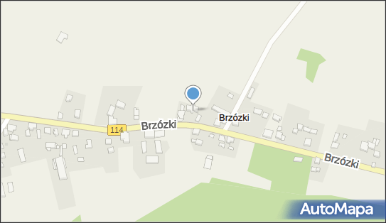 Brzózki w Europie, Brzózki 25, Brzózki 72-022 - Przedsiębiorstwo, Firma, NIP: 8513114902