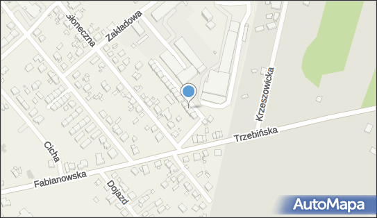 BS Inventing, Spokojna 7, Plewiska 62-064 - Przedsiębiorstwo, Firma