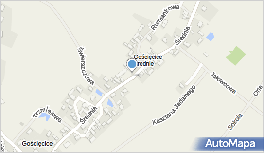 Bsmedia, Gościęcice 22, Gościęcice 57-100 - Przedsiębiorstwo, Firma, numer telefonu, NIP: 9141509495