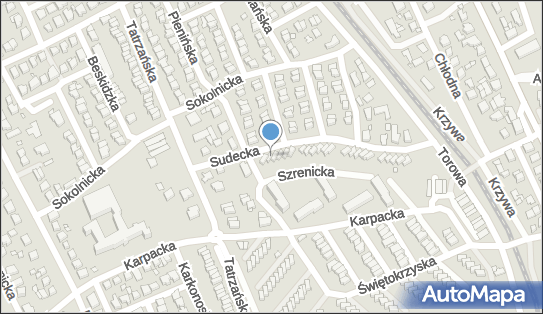 Bud-Dach, Sudecka 2, Kalisz 62-800 - Przedsiębiorstwo, Firma, NIP: 6182063818