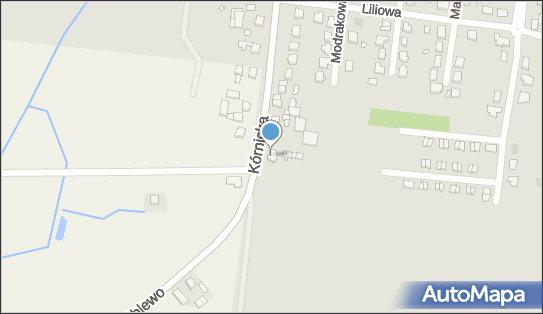 Budren' -Renata Tobolska, Kórnicka 33, Kostrzyn 62-025 - Przedsiębiorstwo, Firma, NIP: 7772479118