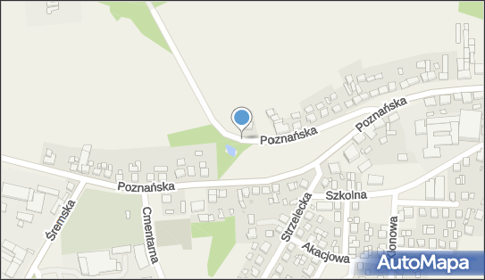 Bukieciarnia Ewa Kiżewska, ul. Poznańska -, Nowe Miasto nad Wartą 63-040 - Przedsiębiorstwo, Firma, NIP: 6171020567