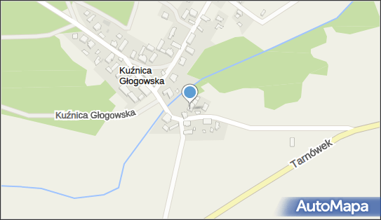 Bumiś Usługi Asenizacyjno -Transportowe, Kuźnica Głogowska 20 67-410 - Przedsiębiorstwo, Firma, NIP: 9251566301