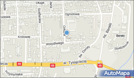Burdyn, ul. Władysława Orkana 21, Nowy Targ 34-400 - Przedsiębiorstwo, Firma, NIP: 7351539969