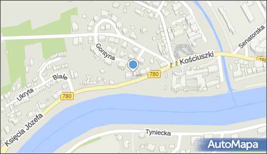 5130060724, Dawid Zyskowski Business Management 