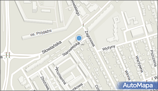 Business Professional WOMEN''S Club of Poznań East - West 61-664 - Przedsiębiorstwo, Firma, numer telefonu, NIP: 9720768745
