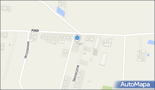 C.O.- Instal Przemysław Dziwiński, ul. Polna 1, Stobno Siódme 62-872 - Przedsiębiorstwo, Firma, NIP: 6181861647