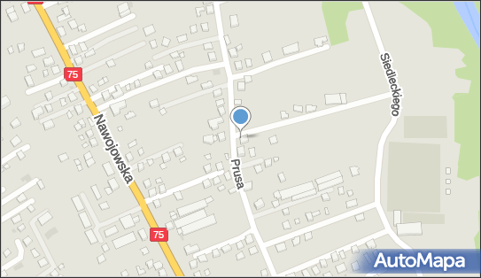 123042523, Cab PL Airport Transfer/Taxi Mirosław Gwiżdż 