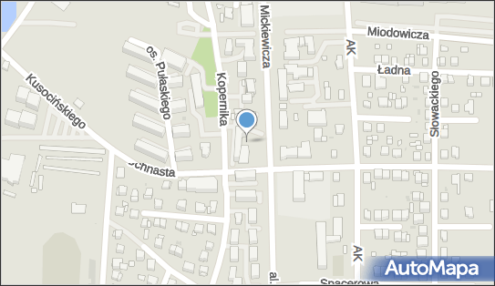 Cafe Grota, ul. Adama Mickiewicza 14 A, Busko-Zdrój 28-100 - Przedsiębiorstwo, Firma, NIP: 6551243807