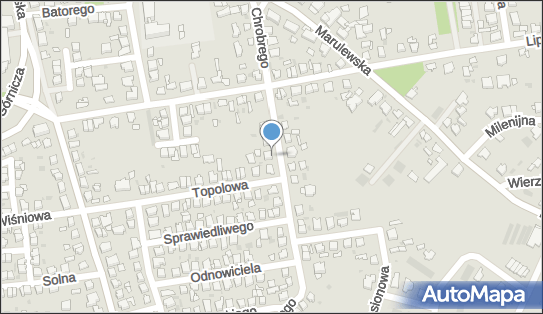 5562250271, Cafe 