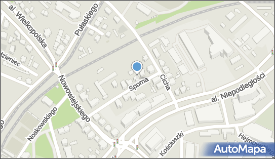 Callisto Group, Sporna 12, Poznań 61-709 - Przedsiębiorstwo, Firma