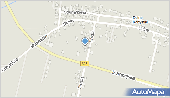 Camelli Professional, Prosta 10, Grodzisk Wielkopolski 62-065 - Przedsiębiorstwo, Firma, NIP: 9950228277