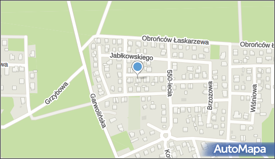 8262075569, Car Land Auto Handel Rafał Purgal 