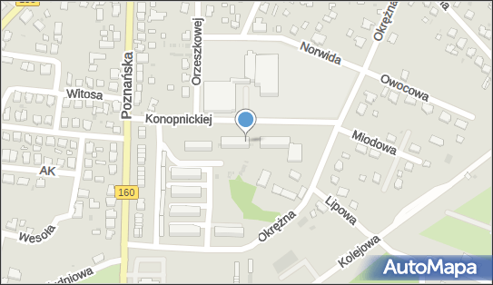 Car Servis Szymon Piernik, ul. Konopnickiej 3A, Drezdenko 66-530 - Przedsiębiorstwo, Firma, NIP: 2810075752