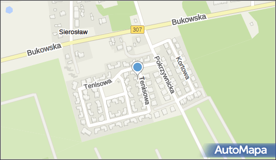 5541722109, Cargo Consulting - Marek Siński 