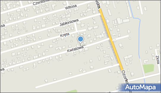Cargotex Int w Likwidacji, Kwiatowa 12, Zgierz 95-100 - Przedsiębiorstwo, Firma, numer telefonu, NIP: 7250041601