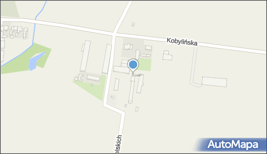 Cars System Plus, Powstańców Wielkopolskich 2, Pępowo 63-830 - Przedsiębiorstwo, Firma