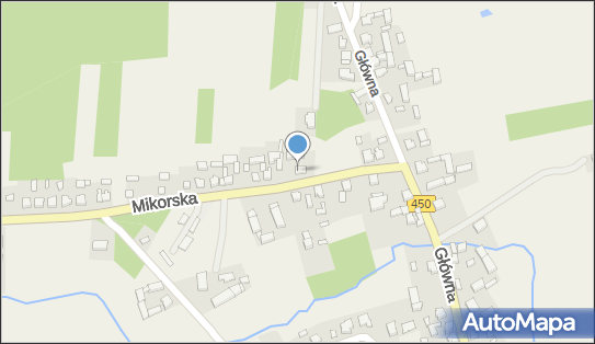Catering AGATA, Mikorska 6, Wyszanów 98-400 - Przedsiębiorstwo, Firma, numer telefonu