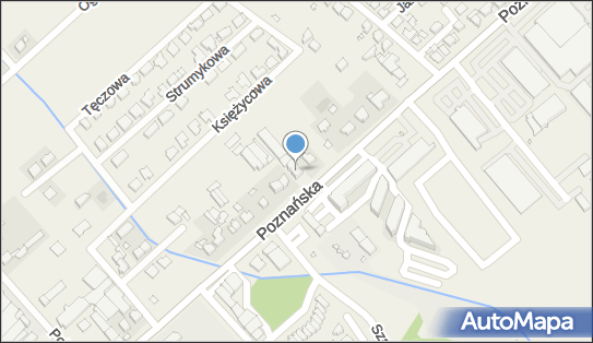 Census Agnieszka Buczkowska, ul. Poznańska 99, Skórzewo 60-185 - Przedsiębiorstwo, Firma, NIP: 7772183286