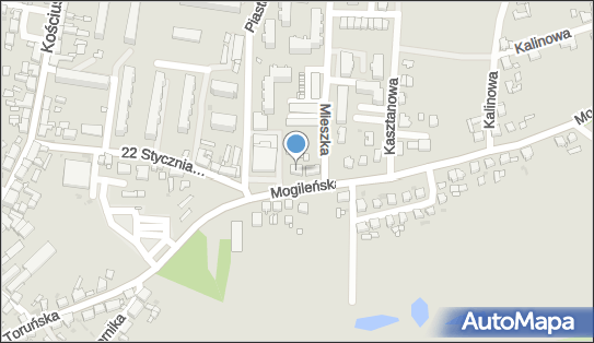 Centrum Budowlane A M G, Mogileńska 1, Trzemeszno 62-240 - Przedsiębiorstwo, Firma, NIP: 7841183830