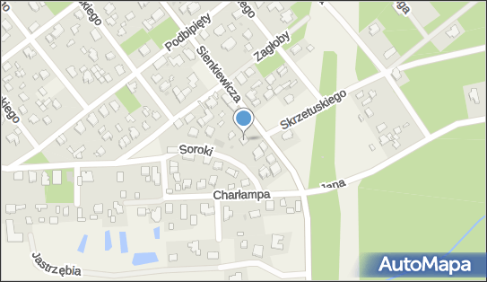 1131536457, Centrum Edukacji Suzuki 