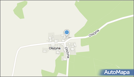 Centrum Handlowe Bazar, Olszyna N/N, Olszyna 68-212 - Przedsiębiorstwo, Firma, NIP: 6991569393