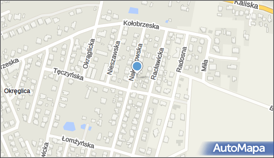 Centrum Kształcenia Zawodowego i Ośrodek Szkolenia Kierowców New Way 62-800 - Przedsiębiorstwo, Firma, numer telefonu, NIP: 6182139579