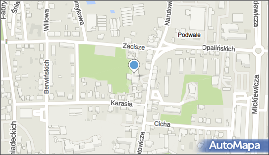 Centrum Kultury i Sztuki w Lesznie, Narutowicza Gabriela 69, Leszno 64-100 - Przedsiębiorstwo, Firma, numer telefonu, NIP: 6971025804