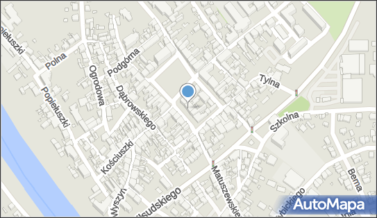 Centrum Kultury Rekreacji i Zdrowia, Plac 20 Października 6, Śrem 63-100 - Przedsiębiorstwo, Firma, numer telefonu