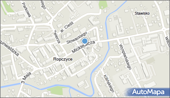 Centrum Leczenia Kręgosłupa i Rehabilitacji Robert Raś, Ropczyce 39-100 - Przedsiębiorstwo, Firma, godziny otwarcia, numer telefonu
