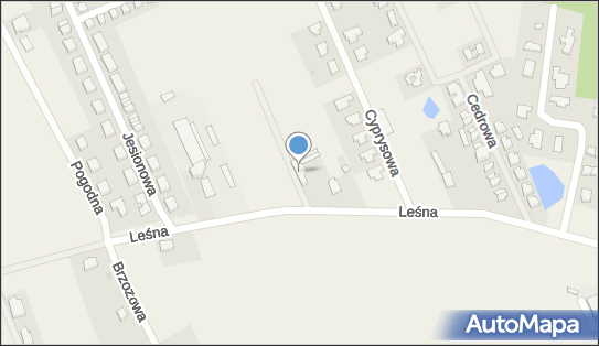 Centrum Ogrodnicze Cyprys Edyta Opis, ul. Leśna 20, Bolesławice 76-251 - Przedsiębiorstwo, Firma, NIP: 8391339332