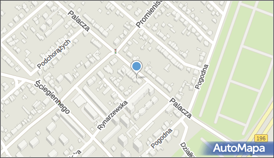 Centrum Pralnicze Delfin, Palacza Macieja 89, Poznań 60-273 - Przedsiębiorstwo, Firma, numer telefonu, NIP: 7792371507