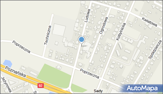 Centrum Rehabilitacji przy z.P.C.Glutenex, ul. Ludowa 6, Sady 62-080 - Przedsiębiorstwo, Firma, NIP: 7810005079