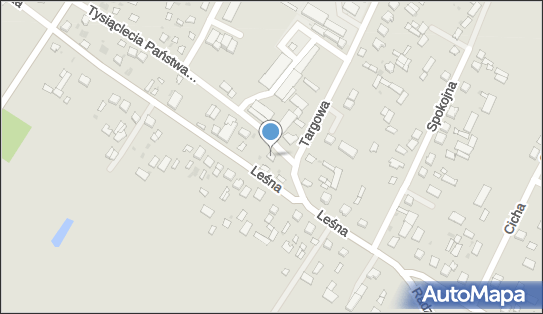 5371538274, Centrum Rozwoju Ortus Elżbieta Roszczak 