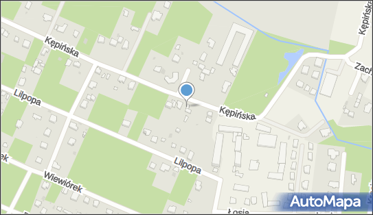 Centrum Zaopatrzenia Biznesu, Kępińska 84a, Brwinów 05-840 - Przedsiębiorstwo, Firma, numer telefonu