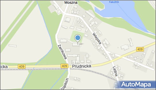 CERF, ul. Zamkowa 6A, Moszna 47-370 - Przedsiębiorstwo, Firma, NIP: 1990093342