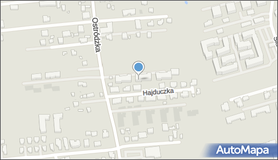 5691218861, Cezar Robert Witkowski 