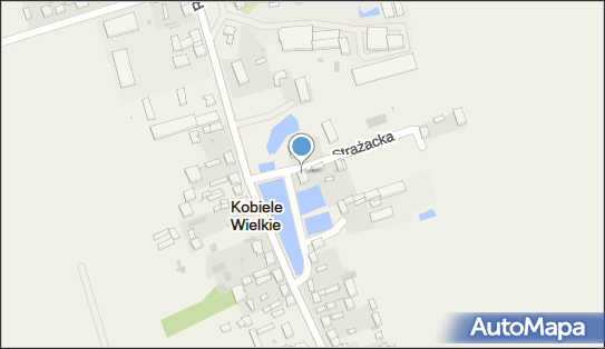 7722156809, Cezary Kościelniak Transport-Wózki-Składowanie 