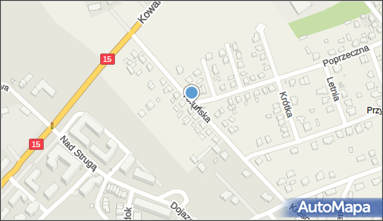 Chemia Gospodarcza, ul. Toruńska 18, Grębocin 87-122 - Przedsiębiorstwo, Firma, NIP: 8791028038
