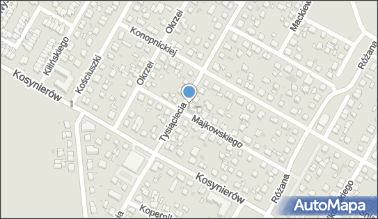 8732547794, Chemox F.P.H.U.Roman Goga 