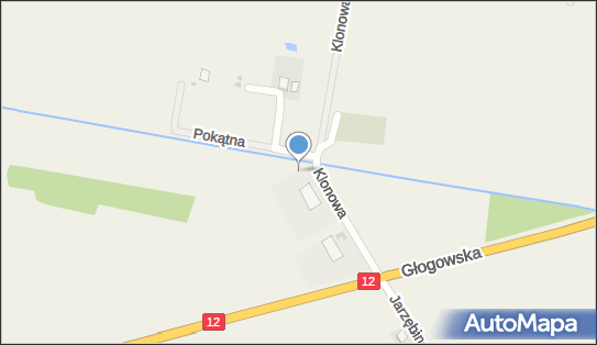 Chlordioxid Academic Polska Sp. zo.o., Klonowa 3, Głogów 67-200 - Przedsiębiorstwo, Firma, godziny otwarcia, numer telefonu