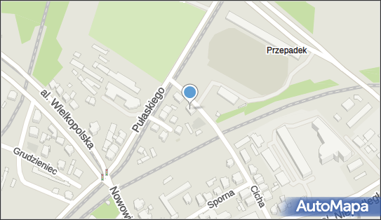 Chrześcijański Niepodległościowy Związek Kombatantów Powstania Poznańskiego Czerwca 1956 R Zarząd Główny w Poznaniu 61-710 - Przedsiębiorstwo, Firma