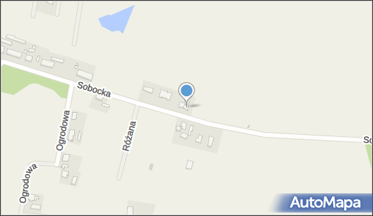 Cichowlas Radosław Auto-Naprawa, Sobocka 15, Rostworowo 62-090 - Przedsiębiorstwo, Firma, NIP: 7771777279